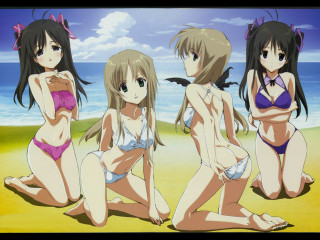 Three girls beach bikinis sky - bikinis free wallpaper for desktop