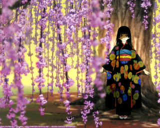 Woman kimono tree purple flowers - a woman in a kimono free wallpaper