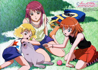 Girls cat dog field blonde - a group of girls free wallpaper for desktop