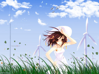 Girl white dress hat field - overhead free wallpaper for desktop