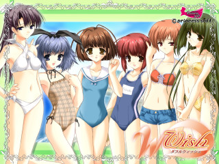 Girls bathing suits green background - a group of girls free wallpaper for desktop