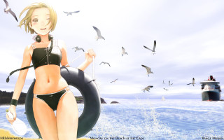 Beach woman bikini ship birds - summer free wallpaper