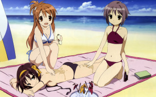 Beach girls bikinis towel drink - a towel free wallpaper