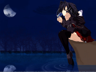 Woman cat moon hoodie outdoors - a full moon in the background free wallpaper for desktop