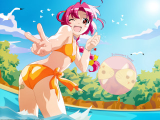 Woman bikini water ball bird - her hand and a bird free wallpaper