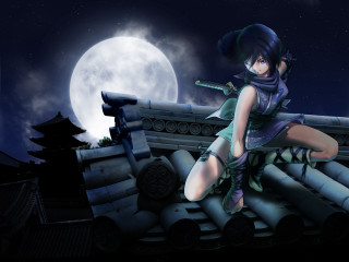 Woman green dress rooftop fullmoon - a roof free wallpaper