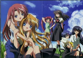 Girls dog cat hug outdoors - a group of girls free wallpaper