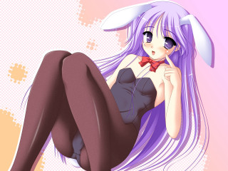 Purple hair bunny ears anime - furry free wallpaper