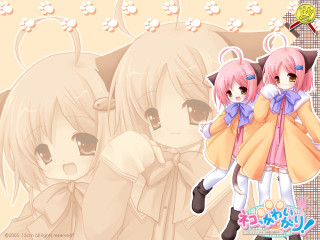 Pink haired anime sisters cat - a cat ear free wallpaper