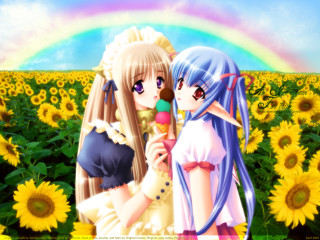Sunflower field rainbow anime girls - a rainbow in the background and a rainbow in the sky free wallpaper