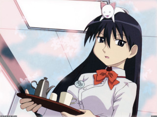 Girl cat tray bow indoors - a tray of food free wallpaper