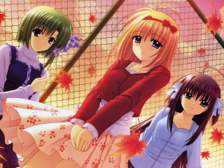 Three anime girls autumn leaves 2 - a net free wallpaper
