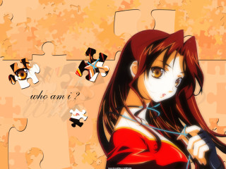 Girl longhair redshirt holding puzzle - analytical art free wallpaper