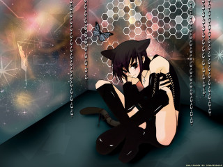 Sitting cat butterfly star galaxy - above them free wallpaper for desktop