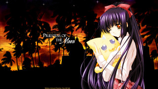 Anime girl pillow sunset palm - a anime girl holding free wallpaper