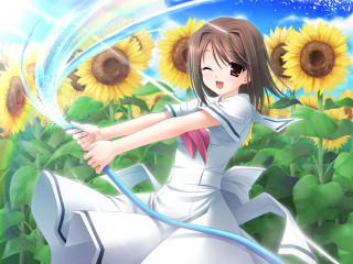 Girl sunflower field white dress 2 - cheerful free wallpaper for desktop