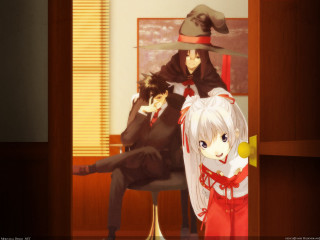 Couple room cat dog formal - a chair in a room free wallpaper