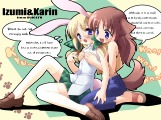 Anime girls speech bubbles cat - the ground behind them free wallpaper