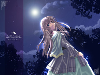 Girl dress forest moon fireworks - a girl in a dress free wallpaper for desktop