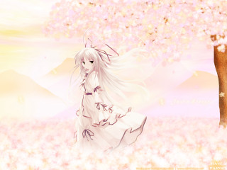 Girl white dress flower field - a field of flowers and trees free wallpaper