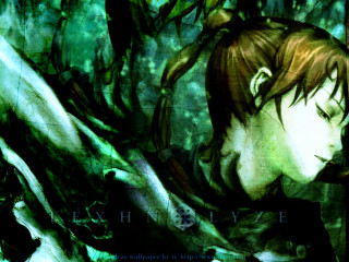 Bearded man green shirt woods - a beard free wallpaper for desktop