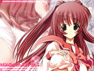 Girl pink umbrella cherry blossom - a pink umbrella free wallpaper