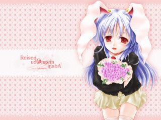 Blue haired girl flower cat - blue hair holding free wallpaper for desktop