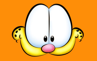 Cartoon face two eyes nose 2 - two eye free wallpaper