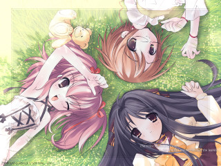 Three anime girls grass outdoors - their eye free wallpaper