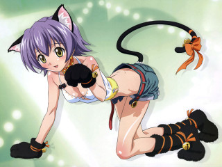 Catgirl gun furry anime yelloweyes - a black object free wallpaper for desktop