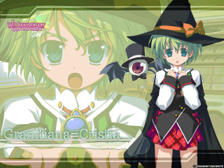 Girl witch hat broom cat - her hand and a cat free wallpaper for desktop