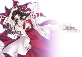 Reimu miko red white dress - dress holding free wallpaper