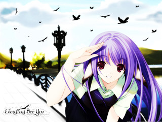 Purple haired girl birds flying - purple hair free wallpaper for desktop