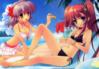 Anime girls beach bikini flower - a banana free wallpaper for desktop