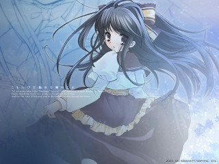 Girl longhair snow wind bow - the wind free wallpaper for desktop