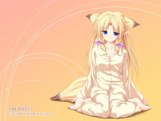 Anime girl blonde fox ears 3 - a cat ear free wallpaper