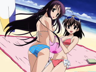 Beach girls bikinis ocean sand - two woman free wallpaper for desktop