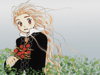 Girl roses white shirt flowers - a bouquet of roses free wallpaper