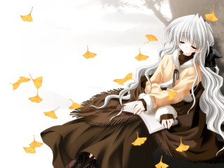 Gothic autumn woman whitehair sitting - a book in her hand free wallpaper