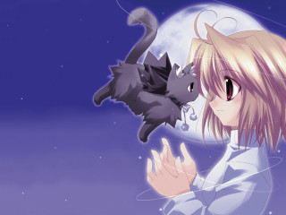 Girl cat moon starry night - a full moon free wallpaper