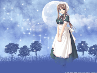 Girl dress fullmoon trees fireworks - a girl in a dress free wallpaper for desktop