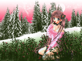 Girl flower field pink sky - a field of flowers free wallpaper for desktop