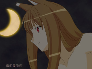 Girl long hair moon wolf - half free wallpaper for desktop