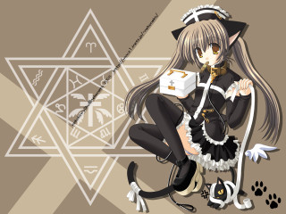 Anime girl long hair cat 7 - long hair and a cat free wallpaper for desktop