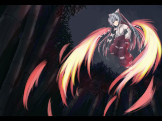 Anime fox tail bamboo night - tail free wallpaper