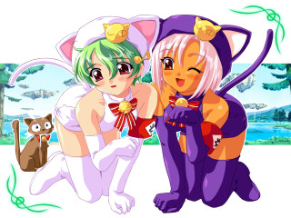 Anime 2girls cat outdoors green - a cat and a cat free wallpaper