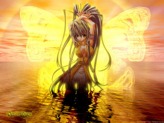 Fairy butterfly wings water sunset - a fairy free wallpaper for desktop