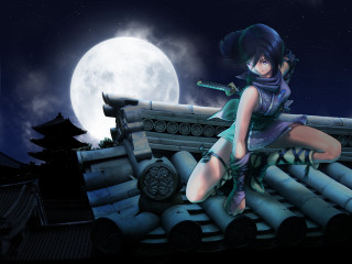 Woman rooftop fullmoon architecture astronaut - top of a roof next free wallpaper for desktop