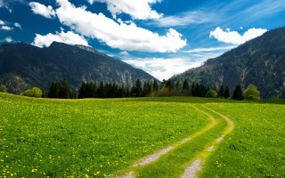 Dirt road green field mountains 5 - a dirt road free wallpaper for desktop