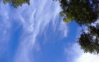 Blue sky clouds trees plane - free sky wallpaper